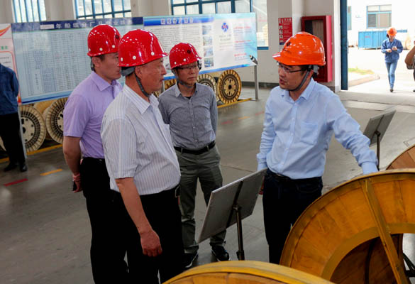 2016年5月14日，，，，，，宁夏回族自治区人民政府研究室副主任苏昀一行来AG一飞冲天电缆调研