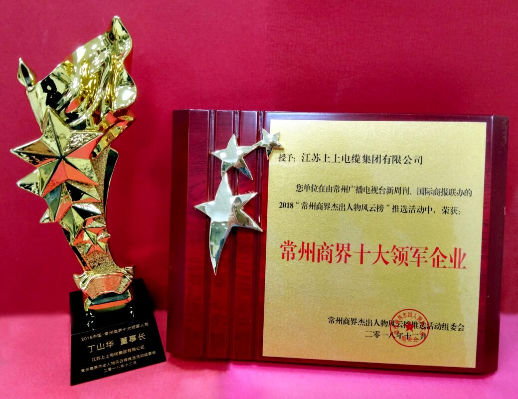 2018年12月6日，，，，，，丁山华董事长荣获“常州商界十大领武士物”