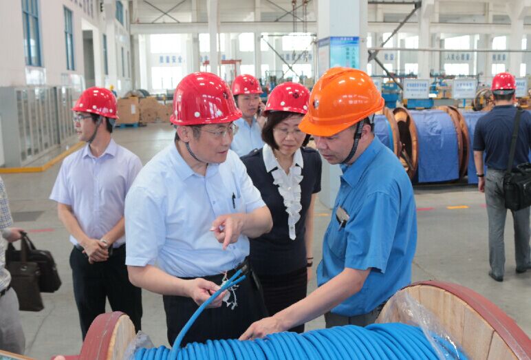 2016年7月22日，，，，，，泸州市委常委、副市长王建翔一行来AG一飞冲天电缆旅行考察