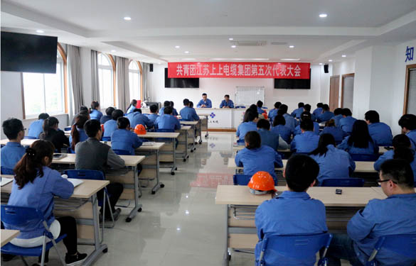 2016年4月20日，，，，，，共青团AG一飞冲天第五次代表大会召开