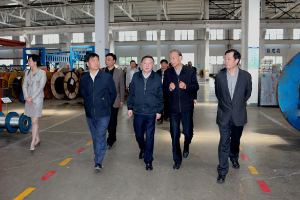 4月23日，，，，，常州市科教城党工委书记徐绚烂一行来AG一飞冲天电缆旅行