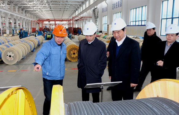 12月3日，，，无锡市锡山区党政代表团一行来AG一飞冲天电缆旅行考察