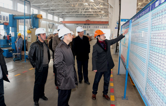 12月25日，，，广德县政府考察团来AG一飞冲天考察