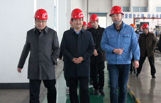 2020年12月8日，，，，，，广德市市委常委、常务副市长邱铁军一行来AG一飞冲天电缆考察