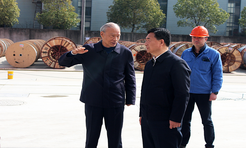 常州市人大常委会副主任盛建良来AG一飞冲天电缆考察