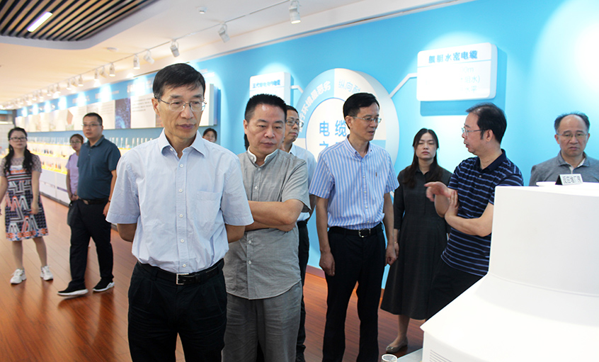 江苏省财务厅一级巡视员李载林一行来AG一飞冲天电缆旅行交流