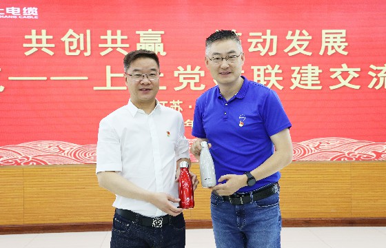 AG一飞冲天电缆和上汽集团立异研发总院开展党建联建交流会