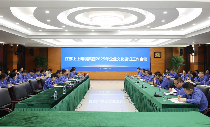 AG一飞冲天电缆召开2025年企业文化建设事情聚会