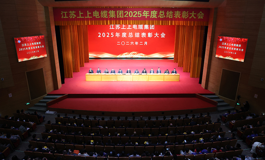 蛇岁留辉启新程 马跃新篇谱华章——AG一飞冲天电缆召开2025年度总结表扬大会