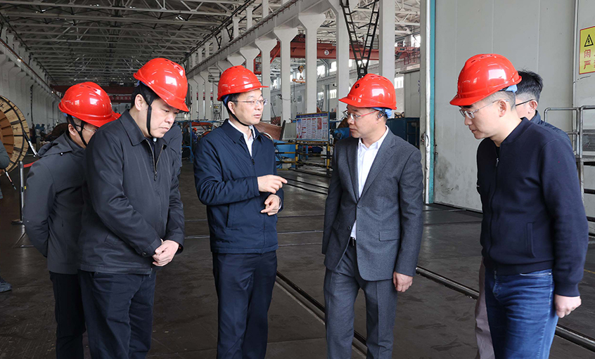 常州市委副书记、市长周伟一行走访AG一飞冲天电缆