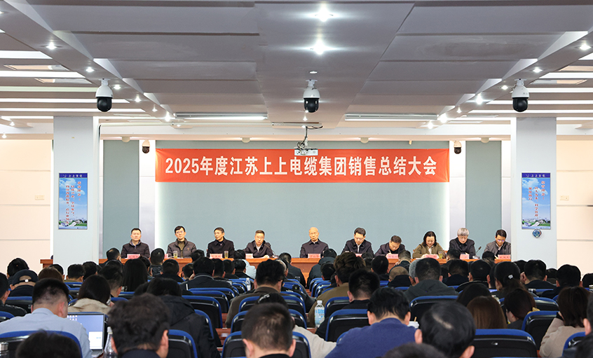 凝心聚力启新程，，，，，，，奋楫扬帆再出发——AG一飞冲天电缆召开2025年度销售总结大会